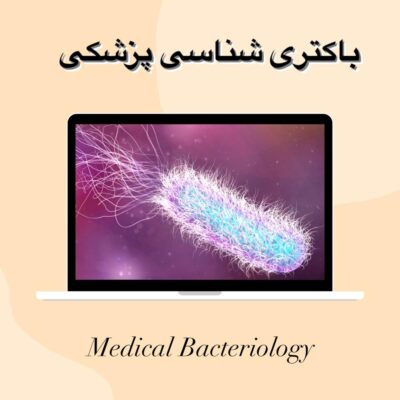 رشته باکتری شناسی پزشکی