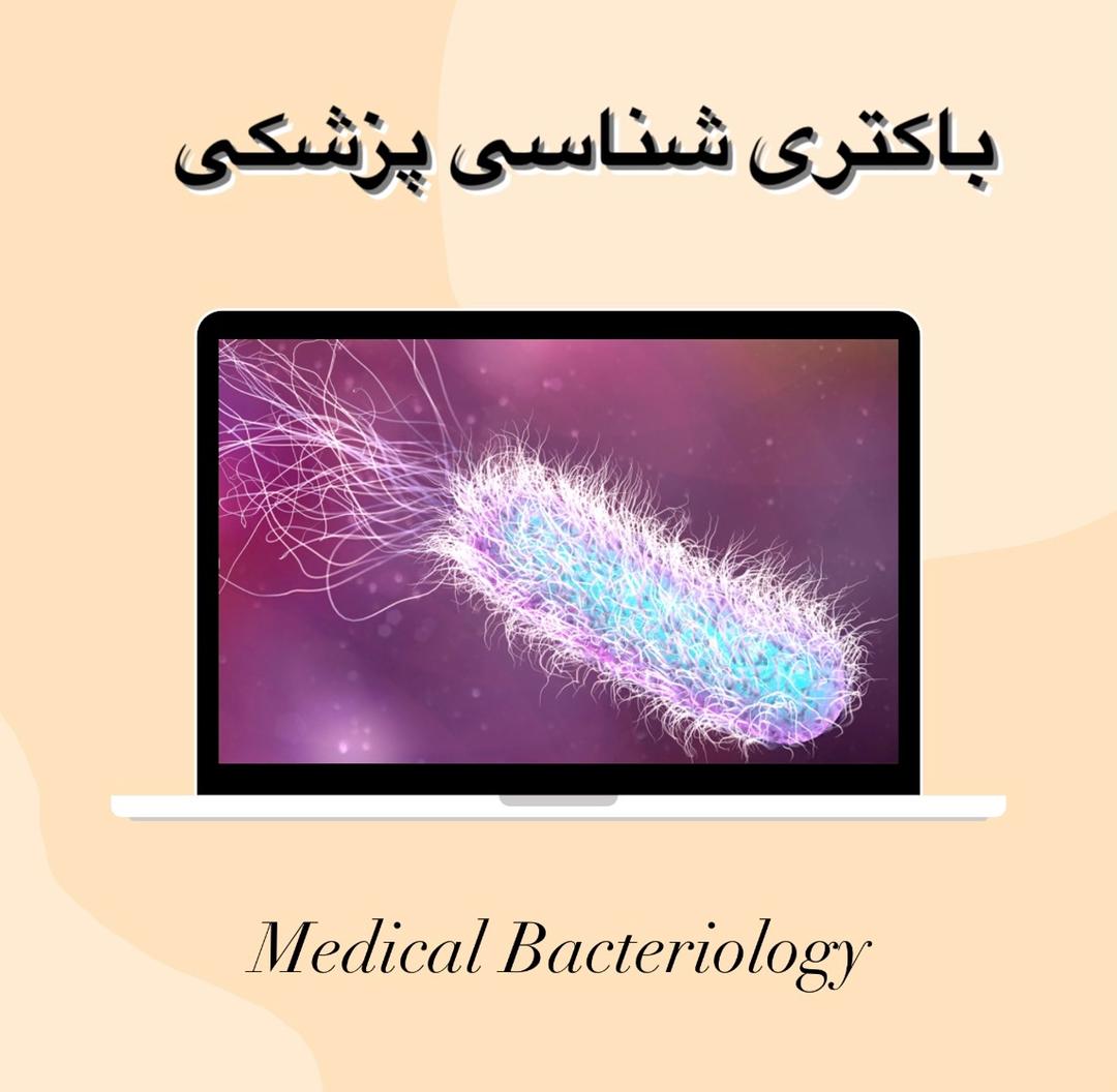 رشته باکتری شناسی پزشکی