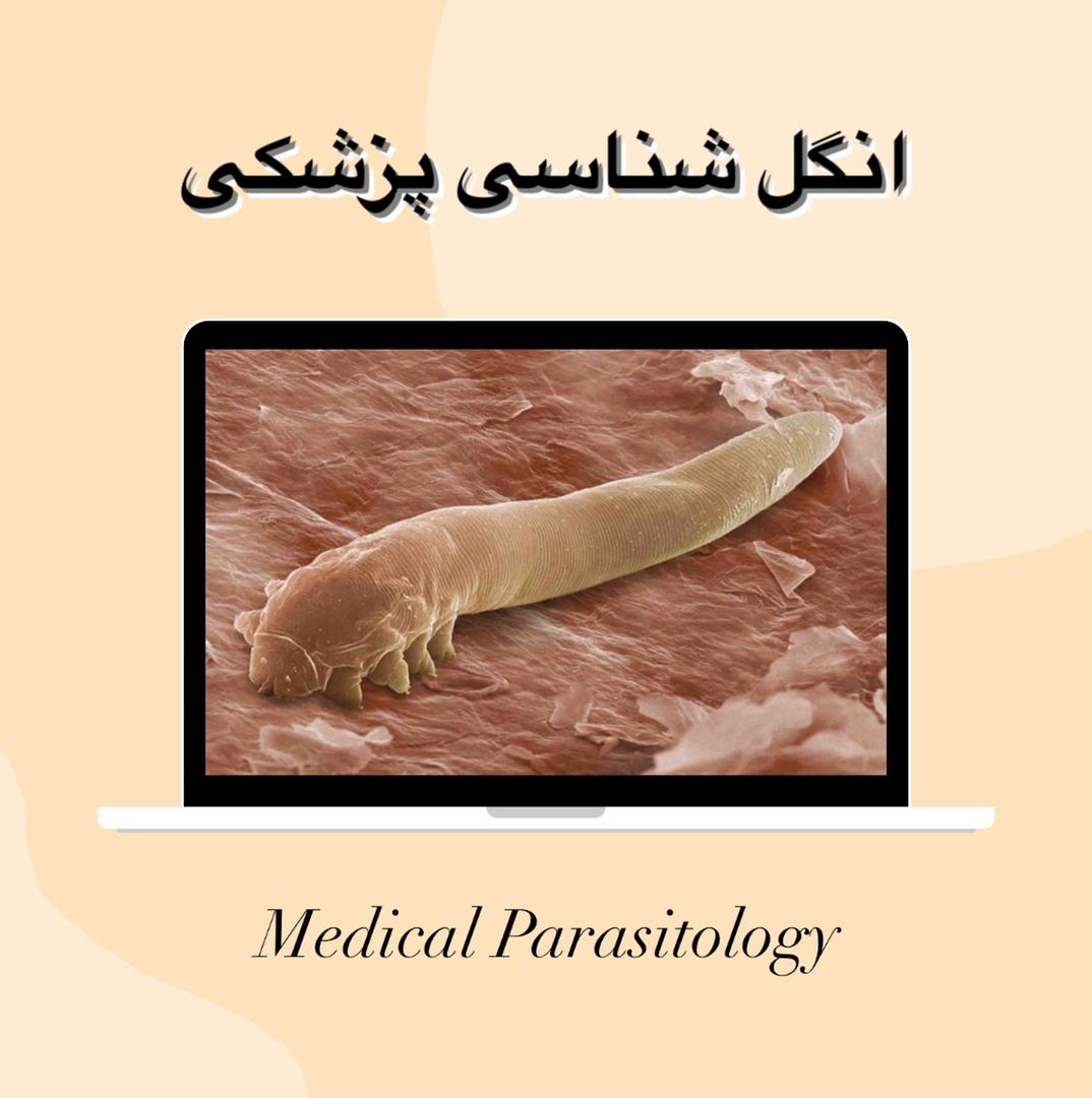 انگل شناسی پزشکی