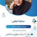 ساینا نجفی